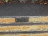 image of grave number 931284